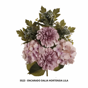 ENCARADO DALIA HORTENSIA LILA
