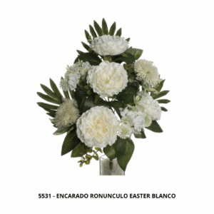 ENCARADO RONUNCULO EASTER