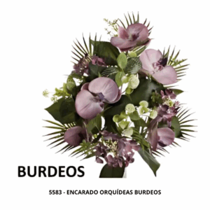 ENCARADO ORQUÍDEAS