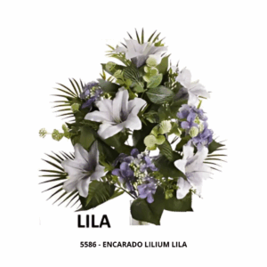 ENCARADO LILIUM LILA
