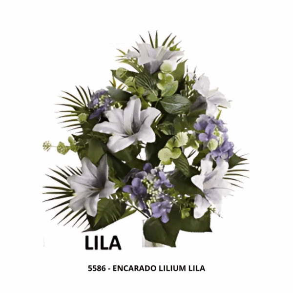 ENCARADO LILIUM LILA