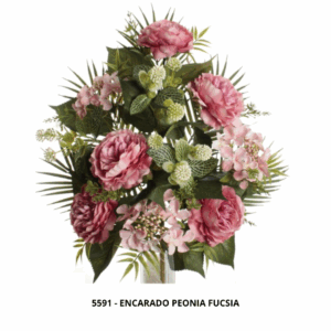 ENCARADO PEONIA FUCSIA