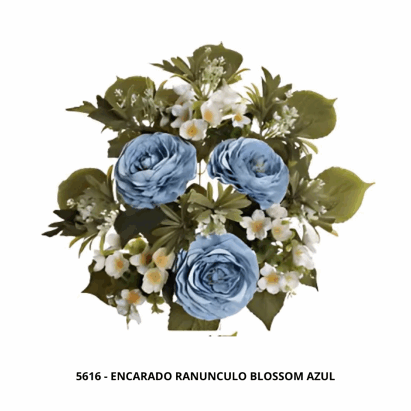 ENCARADO RANUNCULO BLOSSOM