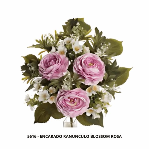 ENCARADO RANUNCULO BLOSSOM - Imagen 3