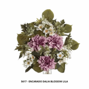 ENCARADO DALIA BLOSSOM LILA