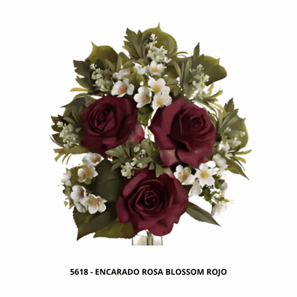 ENCARADO ROSA BLOSSOM - Image 2