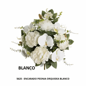ENCARADO PEONIA ORQUIDEA