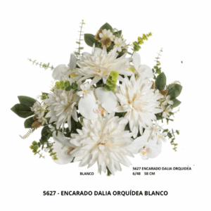 ENCARADO DALIA ORQUÍDEA