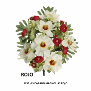 ENCARADO MAGNOLIAS