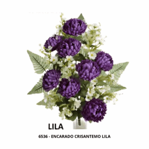 ENCARADO CRISANTEMO LILA