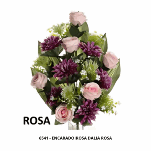 ENCARADO ROSA DALIA ROSA