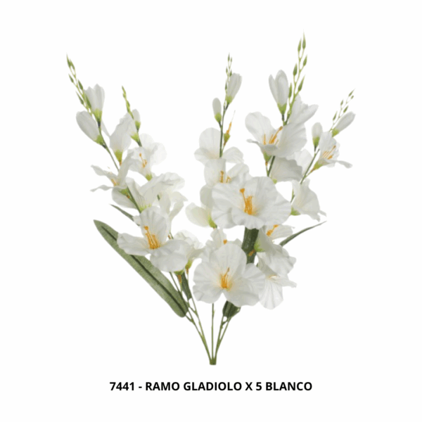 RAMO GLADIOLO X 5 - Image 2