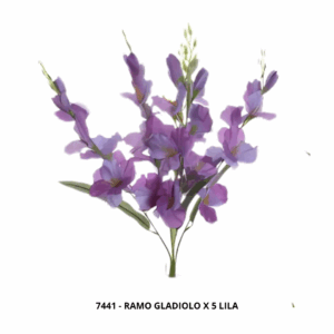 RAMO GLADIOLO X 5