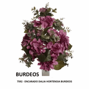 ENCARADO DALIA HORTENSIA BURDEOS
