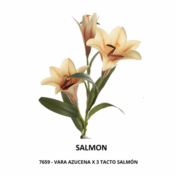 VARA AZUCENA X 3 TACTO - Imagen 3