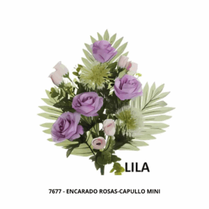 ENCARADO ROSAS-CAPULLO MINI