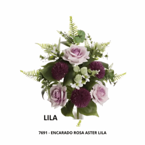 ENCARADO ROSA ASTER