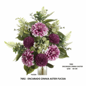 ENCARADO ZINNIA ASTER FUCSIA