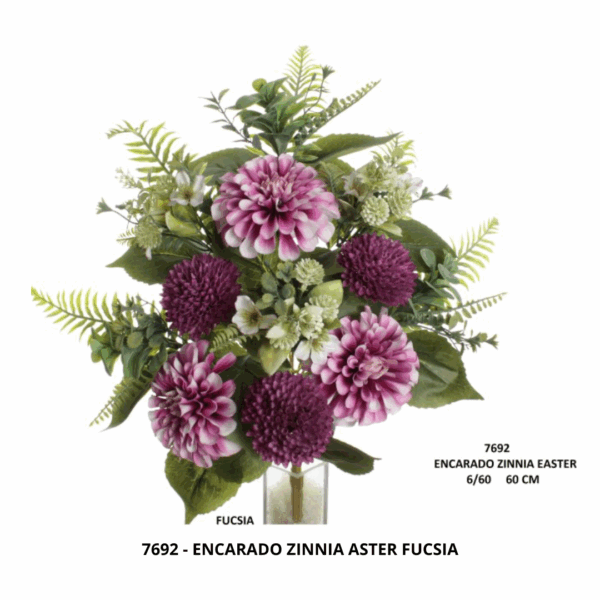 ENCARADO ZINNIA ASTER FUCSIA
