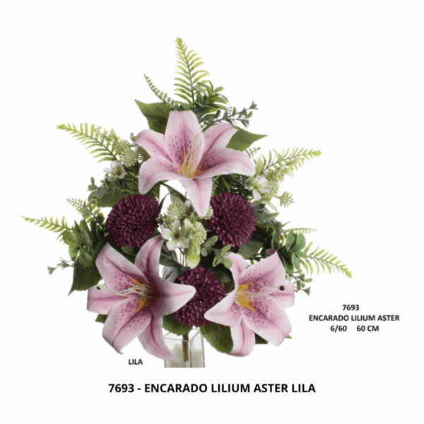 ENCARADO LILIUM ASTER