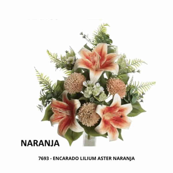 ENCARADO LILIUM ASTER - Imagen 2