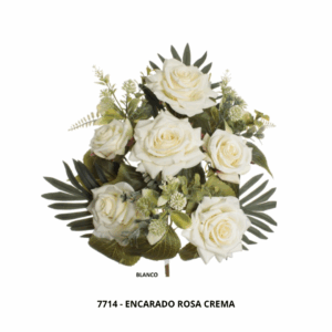 ENCARADO ROSA