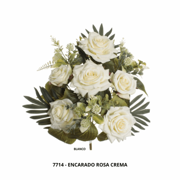 ENCARADO ROSA