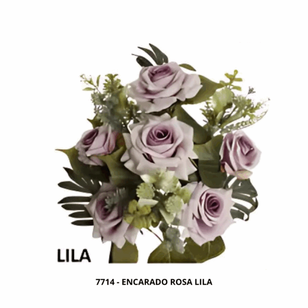 ENCARADO ROSA - Image 2