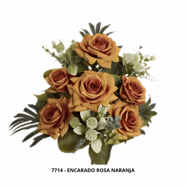 ENCARADO ROSA - Image 3