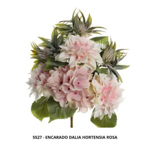 ENCARADO DALIA HORTENSIA ROSA