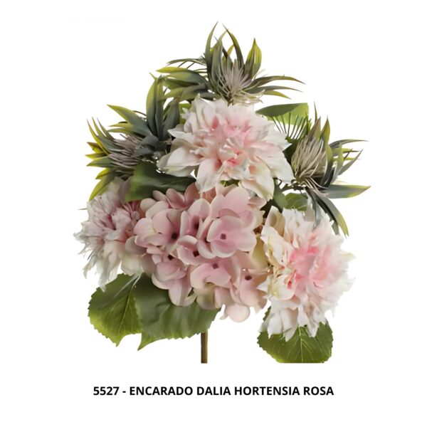 ENCARADO DALIA HORTENSIA ROSA
