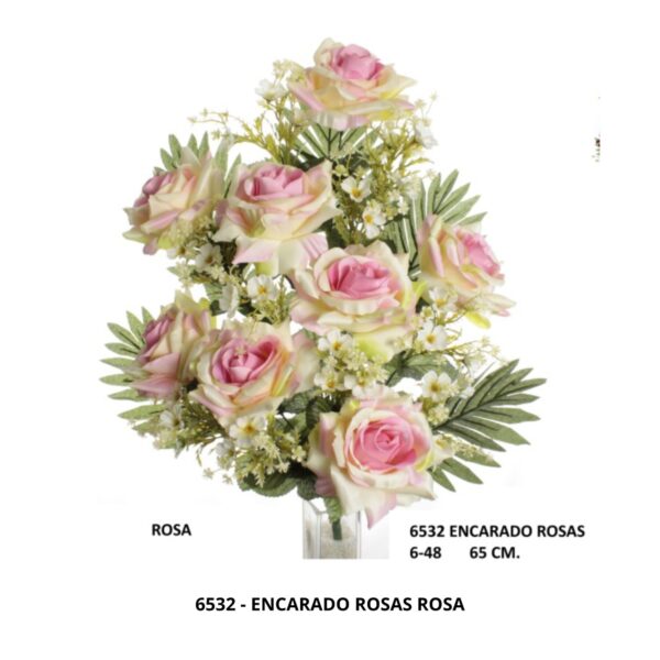 ENCARADO ROSAS - Imagen 2