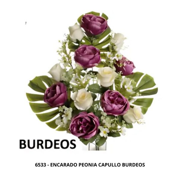 ENCARADO PEONIA CAPULLO